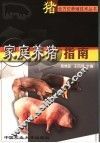 家庭养猪指南 封面