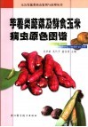 芋薯类蔬菜及鲜食玉米病虫原色图谱 封面