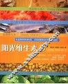 阳光维生素D 封面