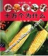 我的第一套十万个为什么  植物篇 封面