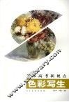 色彩写生 封面