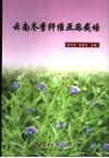 云南冬季纤维亚麻栽培 封面