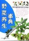 野菜养生事典 封面