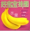 好宝宝挂图  水果 封面