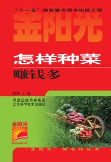 怎样种菜赚钱多 封面