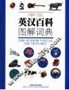 规范汉字书写能力培训 封面