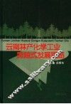 云南林产化学工业跨越式发展思路 封面