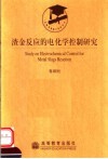渣金反应的电化学控制研究 封面