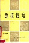 黄花栽培 封面