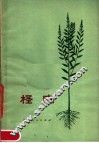 柽麻 封面