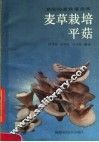 麦草栽培平菇 封面