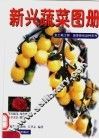 新兴蔬菜图册 封面
