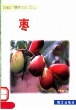 枣 封面