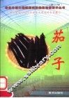 茄子  第2版 封面