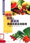特种葱蒜及根菜类蔬菜优质高效栽培 封面