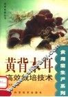 黄背木耳高效栽培技术 封面