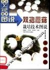 双孢蘑菇栽培技术图说 封面