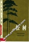 松树 封面