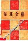 盆栽金柑 封面