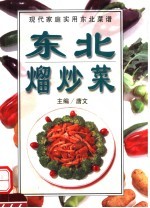 东北熘炒菜 封面