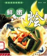 家庭美食新概念  鲜嫩烩 封面