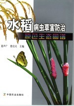 水稻病虫草害防治原色生态图谱 封面