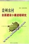 贵州农村全面建设小康进程研究  第一次现代化并兼容某些领域的跨越式发展 封面