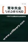 青年失业与社会排斥风险 封面