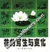 花的写生与变化 封面