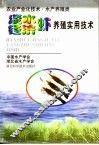 淡水经济虾养殖实用技术 封面