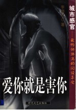 爱你就是害你  城市感官-最畅快淋漓的阅读享受 封面