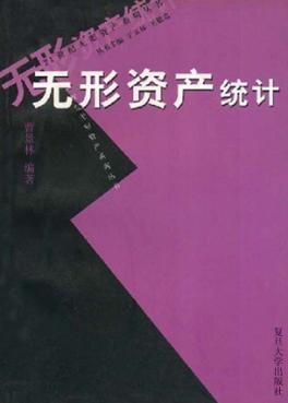 无形资产统计 封面