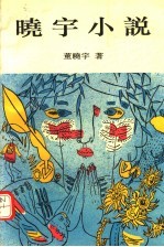 晓宇小说 电子书封面
