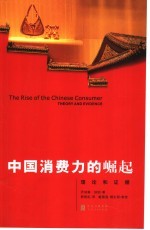 中国消费力的崛起 理论和证据 theory and evidence 封面