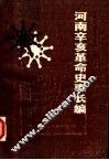 河南辛亥革命史事长编  下 封面