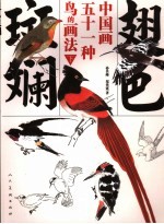 翅色斑斓  中国画51种鸟的画法 封面