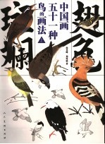 翅色斑斓  中国画五十一种鸟的画法  上 封面
