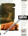 中国美术史 封面