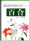 鳞茎鲜切花之王-百合 封面