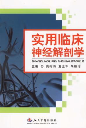 实用临床神经解剖学 封面