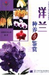 洋兰种养与鉴赏 封面