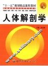 人体解剖学
