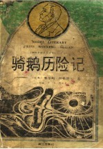 骑鹅历险记 封面