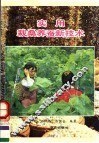 实用栽桑养蚕新技术 封面