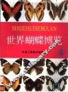 世界蝴蝶博览  天津自然博物馆馆藏世界蝴蝶系列图谱  中英文本 封面