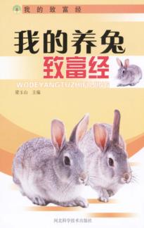 我的养兔致富经 封面