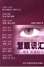 慧眼识汇  外汇买卖技巧 封面
