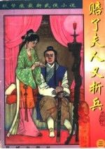 赔了夫人又折兵 电子书封面