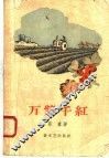 万紫千红 封面