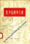 县  乡怎样办工业 封面